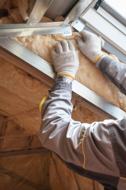 Best Commercial Insulation in Palmer Lake, CO